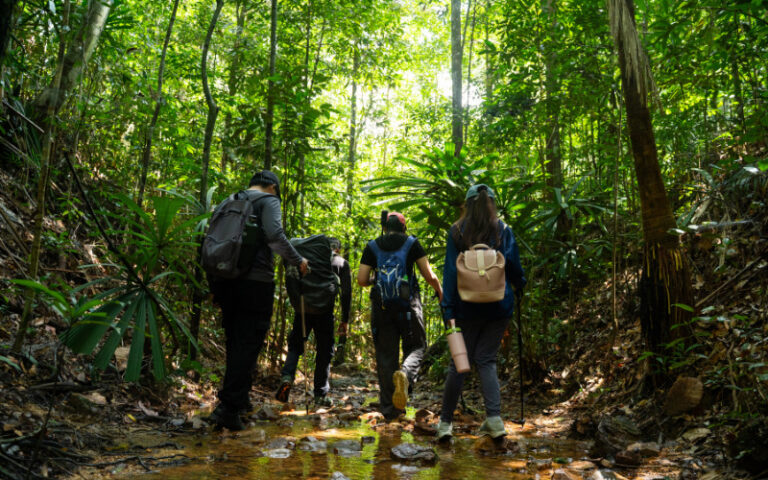 Hiking at Panbil Nature Reserve: The Hidden Jungle Adventure
