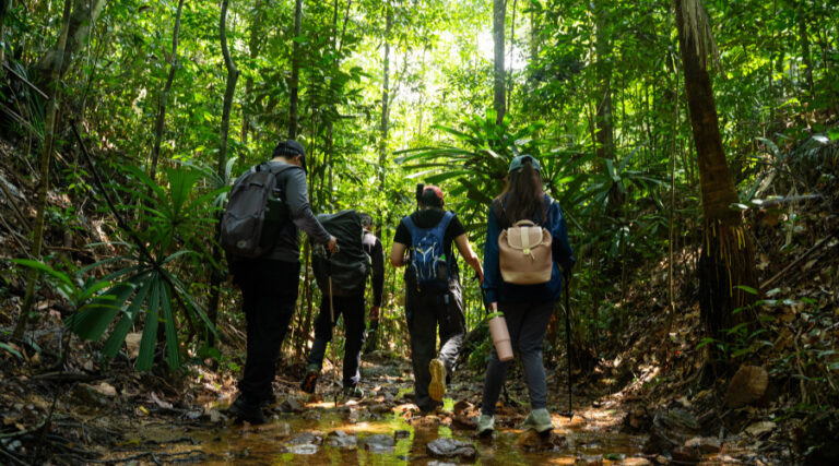 Hiking at Panbil Nature Reserve: The Hidden Jungle Adventure