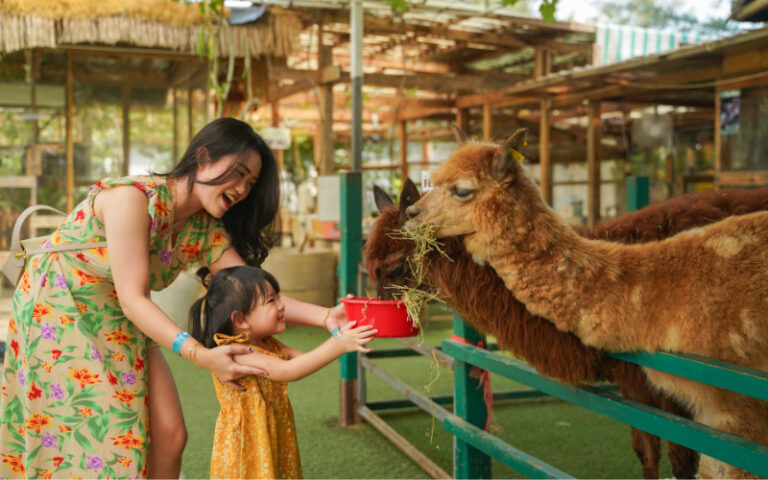 Batam Zoo Paradise: Worth Visiting For A Family-Friendly Day Out