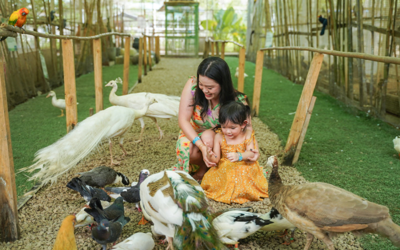 Birds at Batam Zoo