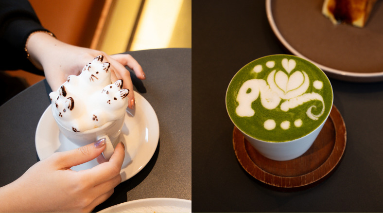 3D Cappucino and Matcha Latte Soi by Nick